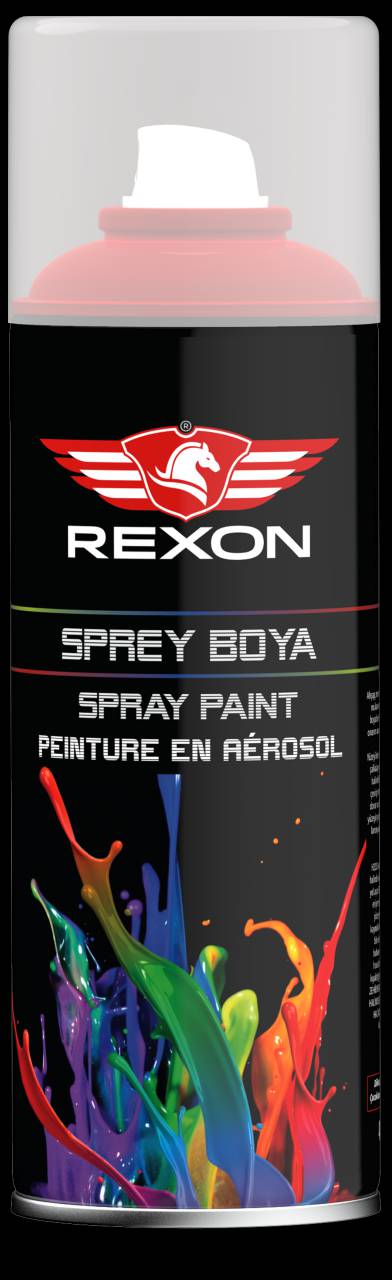 REXON SPREY BOYA PARLAK BEYAZ 9010