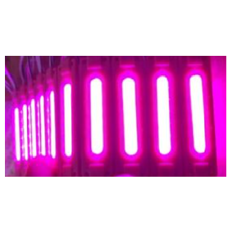 BENMAX COB PARMAK LED 24V MOR ***BX12036